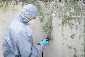 Best Air Quality Testing for Mold Spores  in Bartlett, IL